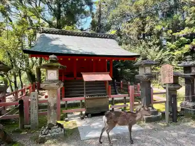 春日大社(奈良県)