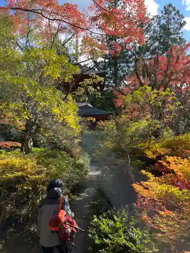 円成寺(奈良県)