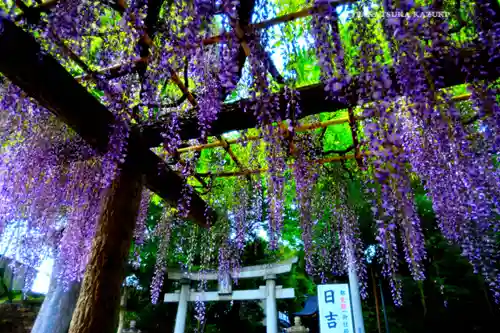 日吉神社(東京都)