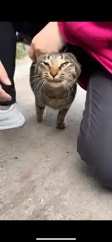 妙心寺(北海道)