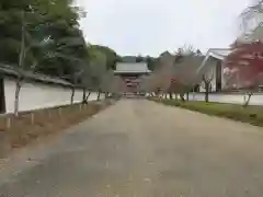 醍醐寺（上醍醐）(京都府)