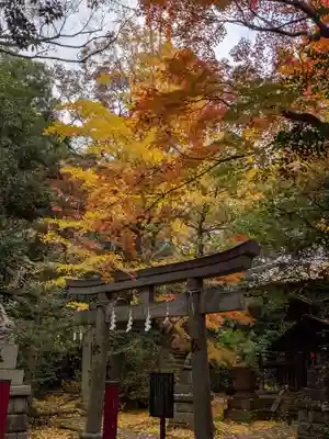 赤坂氷川神社(東京都)