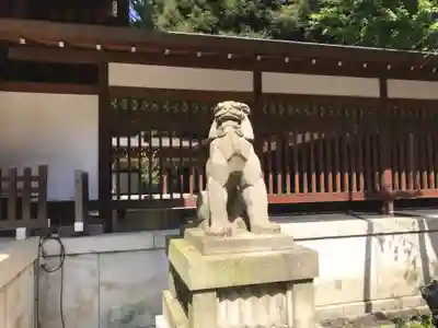 乃木神社の狛犬