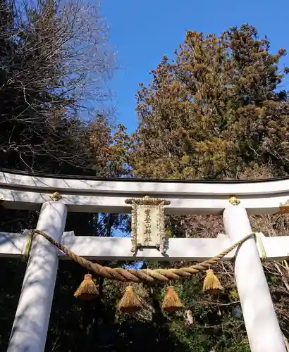 宝登山神社の鳥居