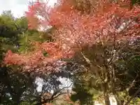 東勝寺跡の自然