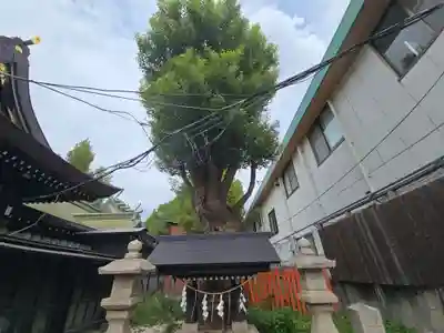 阿部野神社(大阪府)