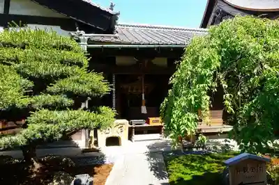 東寺（教王護国寺）のその他建物