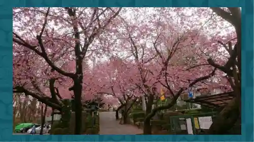 密藏院(埼玉県)