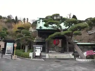 長谷寺の山門・神門