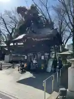 大國魂神社の{uncategorized: "未分類", other: "その他", undefined: "問題あり", building: "その他建物", grave: "お墓", sacred_gate: "鳥居", guardian: "狛犬", statue: "像", buddha: "仏像", history: "歴史", nature: "自然", garden: "庭園", animal: "動物", pagoda: "塔", temizu: "手水舎", mountain_gate: "山門・神門", sanctuary: "本殿・本堂", subordinate: "末社・摂社", art: "芸術", scenery: "景色", jizo: "地蔵", ema: "絵馬", goshuin: "御朱印", omikuji: "おみくじ", items: "授与品その他", amulet: "お守り", goshuincho: "御朱印帳", eats: "食事", festival: "お祭り", votive_dance: "神楽", shichigosan: "七五三参", wedding: "結婚式", experience: "体験その他", initially: "初詣", around: "周辺", anti_infection: "感染症対策"}