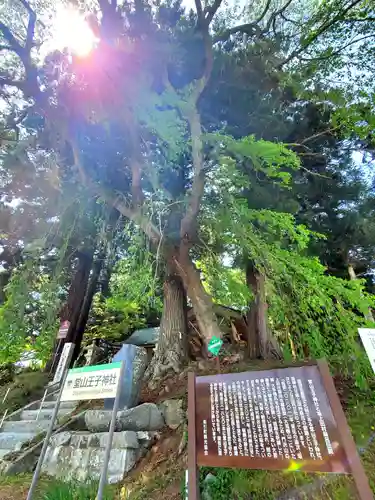 堂山王子神社(福島県)