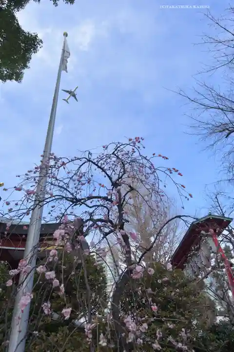 居木神社(東京都)