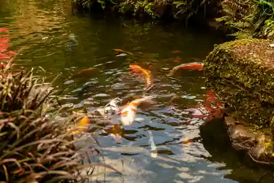 都農神社(宮崎県)