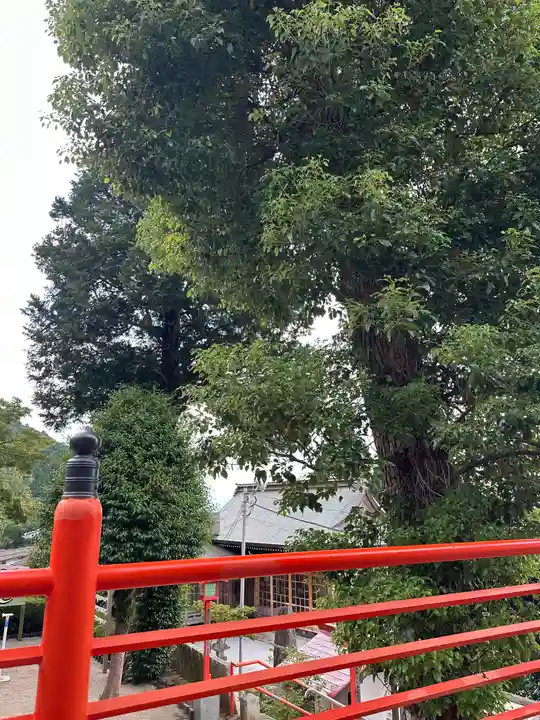 足立山妙見宮(御祖神社)(福岡県)