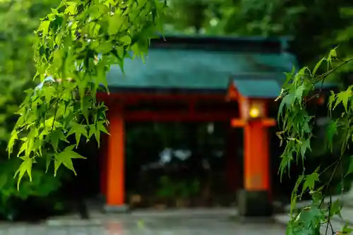 枚聞神社(鹿児島県)