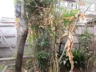 大将軍神社　東三條殿(京都府)