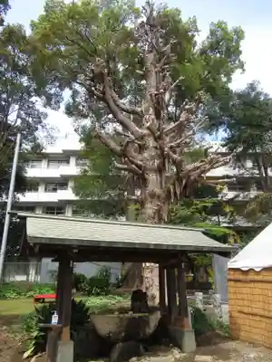 前原御嶽神社(千葉県)