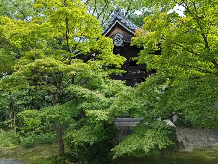 廬山寺(廬山天台講寺)(京都府)
