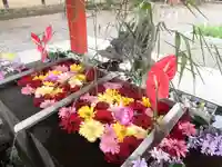 美濃國一宮 南宮大社の手水舎