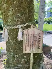 橿森神社(岐阜県)