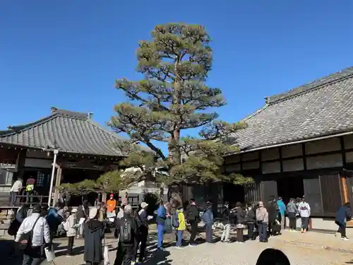 賢聖院(愛知県)