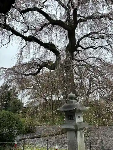 阿弥陀寺のその他建物