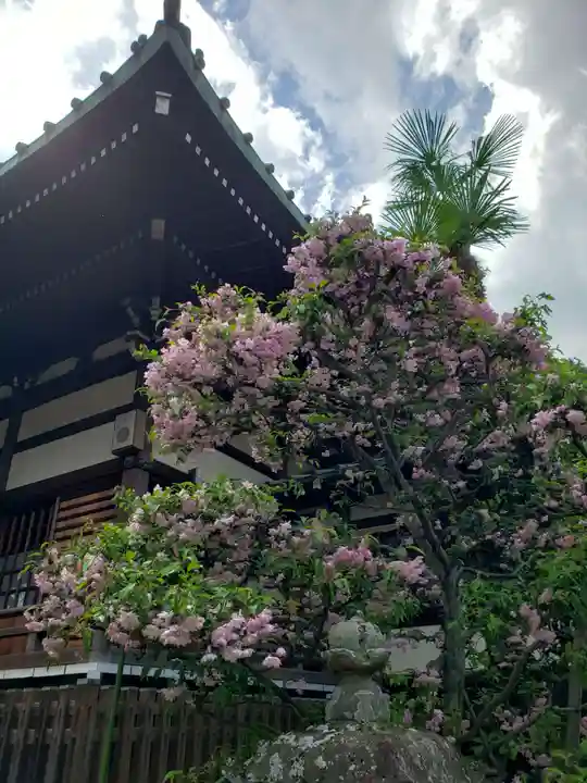 龍光寺(東京都)