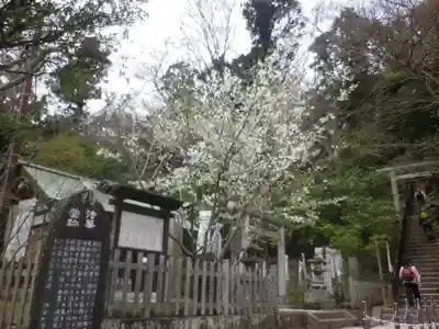白旗神社(西御門)のその他建物