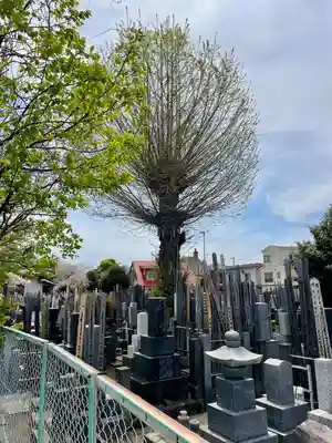 浄光寺(東京都)