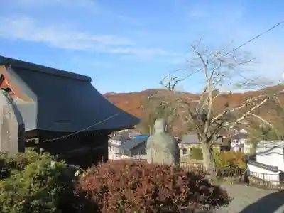 妙円寺(妙圓寺)(埼玉県)