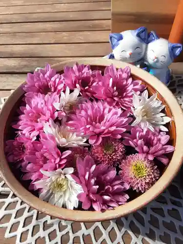 法輪寺(東京都)