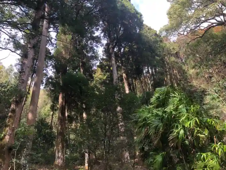 蛭児神社の自然