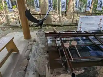 熊野本宮大社(和歌山県)