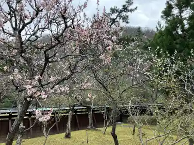 妙光寺(新潟県)