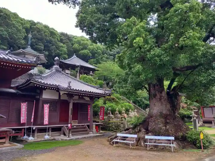 観音寺のその他建物