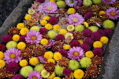 大鏑神社の手水舎