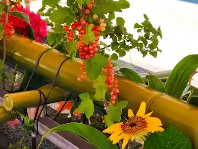 生田神社の手水舎