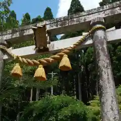 根道神社の鳥居