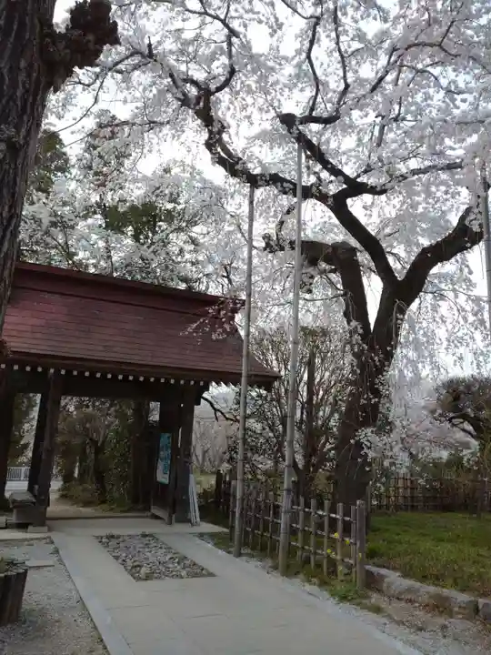 法善寺の山門・神門