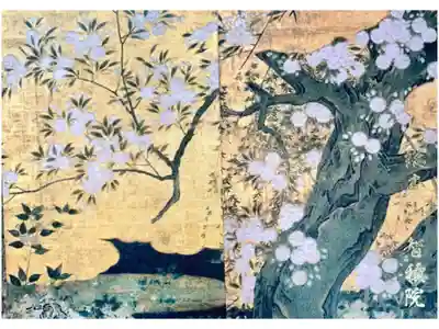 長谷川等伯の桜