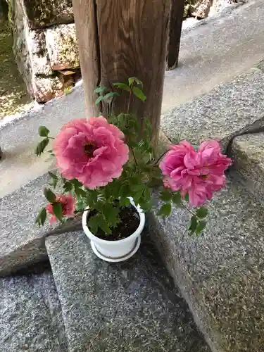 長谷寺(奈良県)