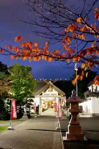 烈々布神社の本殿