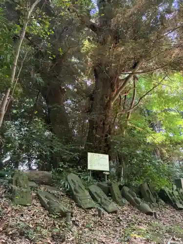 正福寺(千葉県)