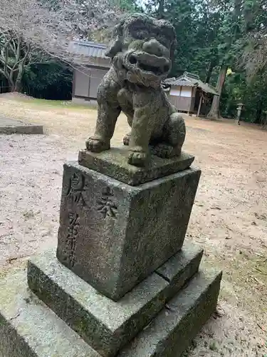 松尾八幡宮の狛犬