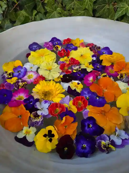 今戸神社(東京都)