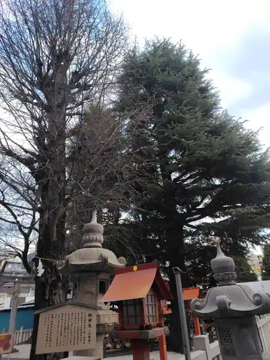草加神社(埼玉県)