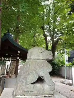 穏田神社の狛犬