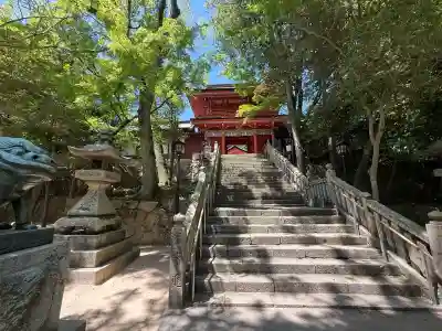 住吉神社の{uncategorized: "未分類", other: "その他", undefined: "問題あり", building: "その他建物", grave: "お墓", sacred_gate: "鳥居", guardian: "狛犬", statue: "像", buddha: "仏像", history: "歴史", nature: "自然", garden: "庭園", animal: "動物", pagoda: "塔", temizu: "手水舎", mountain_gate: "山門・神門", sanctuary: "本殿・本堂", subordinate: "末社・摂社", art: "芸術", scenery: "景色", jizo: "地蔵", ema: "絵馬", goshuin: "御朱印", omikuji: "おみくじ", items: "授与品その他", amulet: "お守り", goshuincho: "御朱印帳", eats: "食事", festival: "お祭り", votive_dance: "神楽", shichigosan: "七五三参", wedding: "結婚式", experience: "体験その他", initially: "初詣", around: "周辺", anti_infection: "感染症対策"}