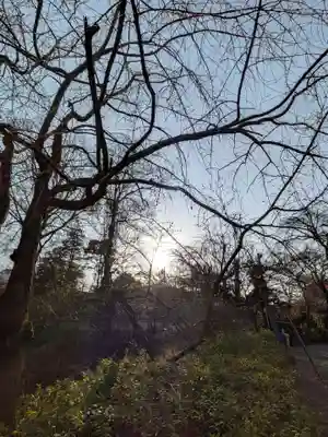 蓮華寺(東京都)