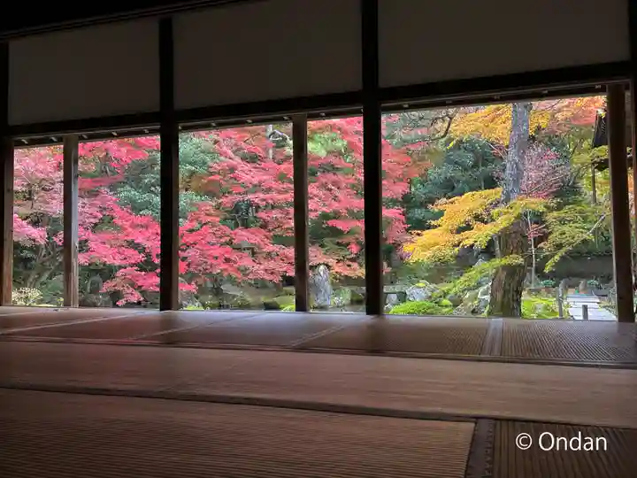 蓮華寺(洛北蓮華寺)の庭園